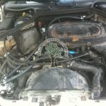 Mercedes TE230 motronic mechanical injection LPG Conversion